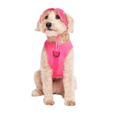 Canada Pooch Dog Cooling Bucket Hat Neon Pink LG