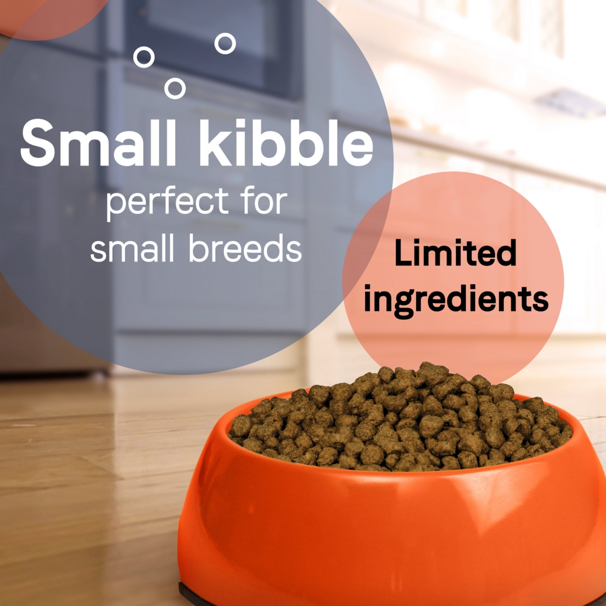 CANIDAE PURE Goodness Petite Small Breed Adult Dry Dog Food Chicken 4lb