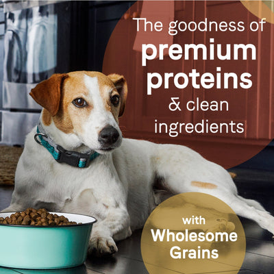 CANIDAE PURE Goodness w/Wholesome Grains Dry Dog Food Lamb & Brown Rice 22lb