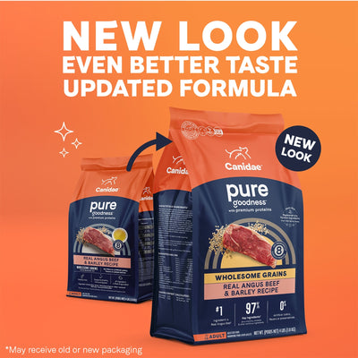 CANIDAE PURE Goodness w/Wholesome Grains Dry Dog Food Beef & Barley 4lb