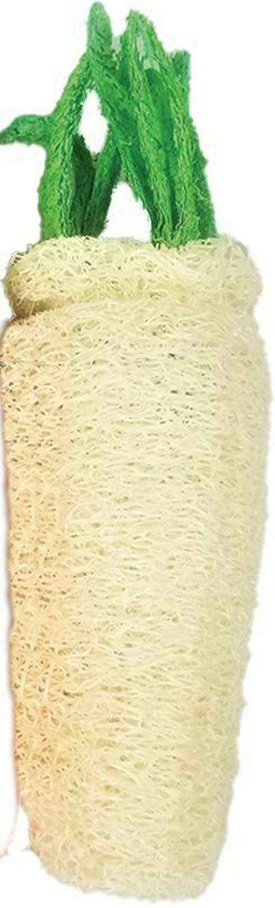 A &E Cages Nibbles Small Animal Loofah Chew Toy Large Daikon; 1ea