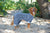 Fashion Pet Striped Pajamas Blue Xx-Small