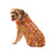 LOOKIN’ GOOD! BY FASHION PET MULTI CROCHET SWEATER IN MEDIUM