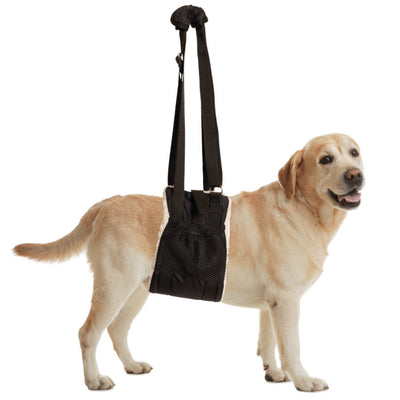 ZenPet Buddy Lift Canine Support and Rehabilitation Sling 1ea/LG/XL