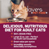 Dave's Naturally Healthy Cat Food; Turkey and Giblets Pate Dinner 13.2oz. (Case of 12)