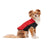 Goo-Eez Mock Neck Signature Dog Jacket Red/Black XSmall