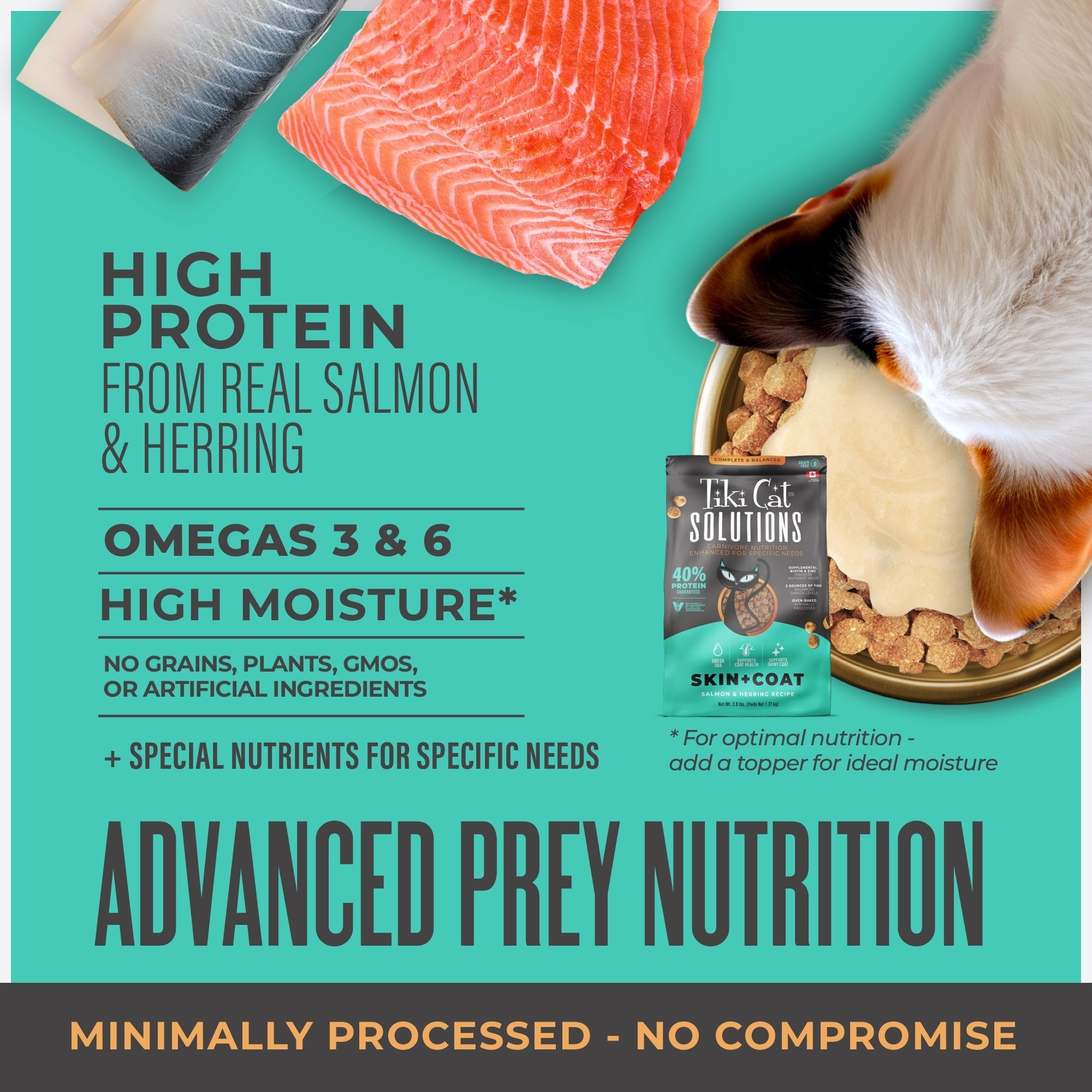 Tiki Pet Cat Solutions Skin & Coat Salmon 5.6Lb