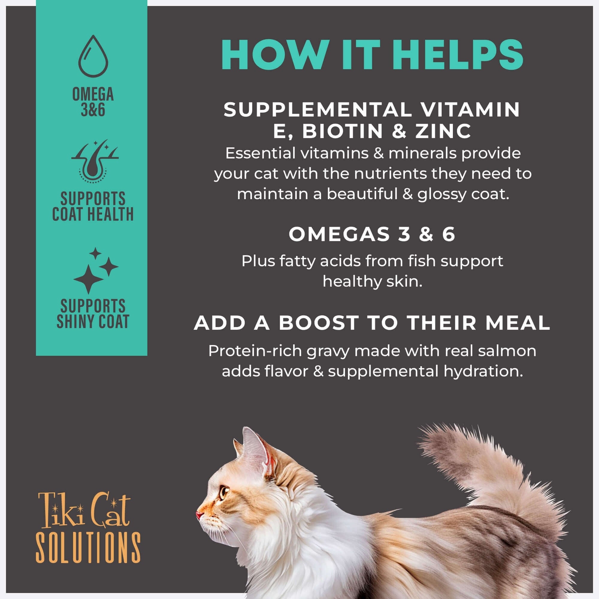 Tiki Pet Cat Solutions Skin & Coat Salmon 5.6Lb