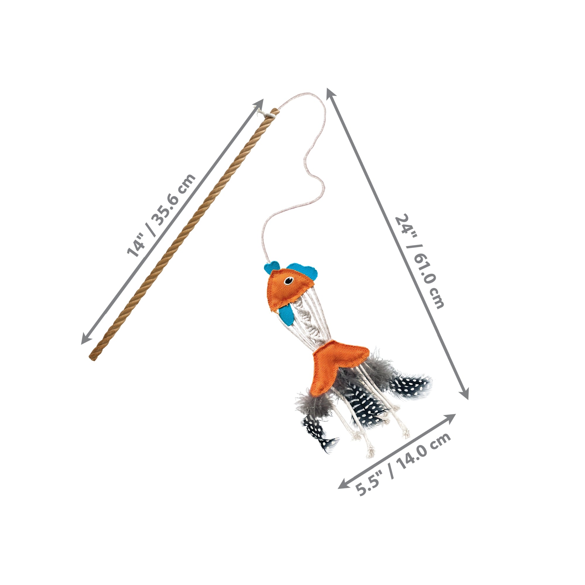 !!KONG C NAT TEASR FSH