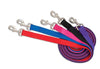 Aspen Core Nylon Dog Leash Royal Blue 1ea/5/8In X 5 ft, MD