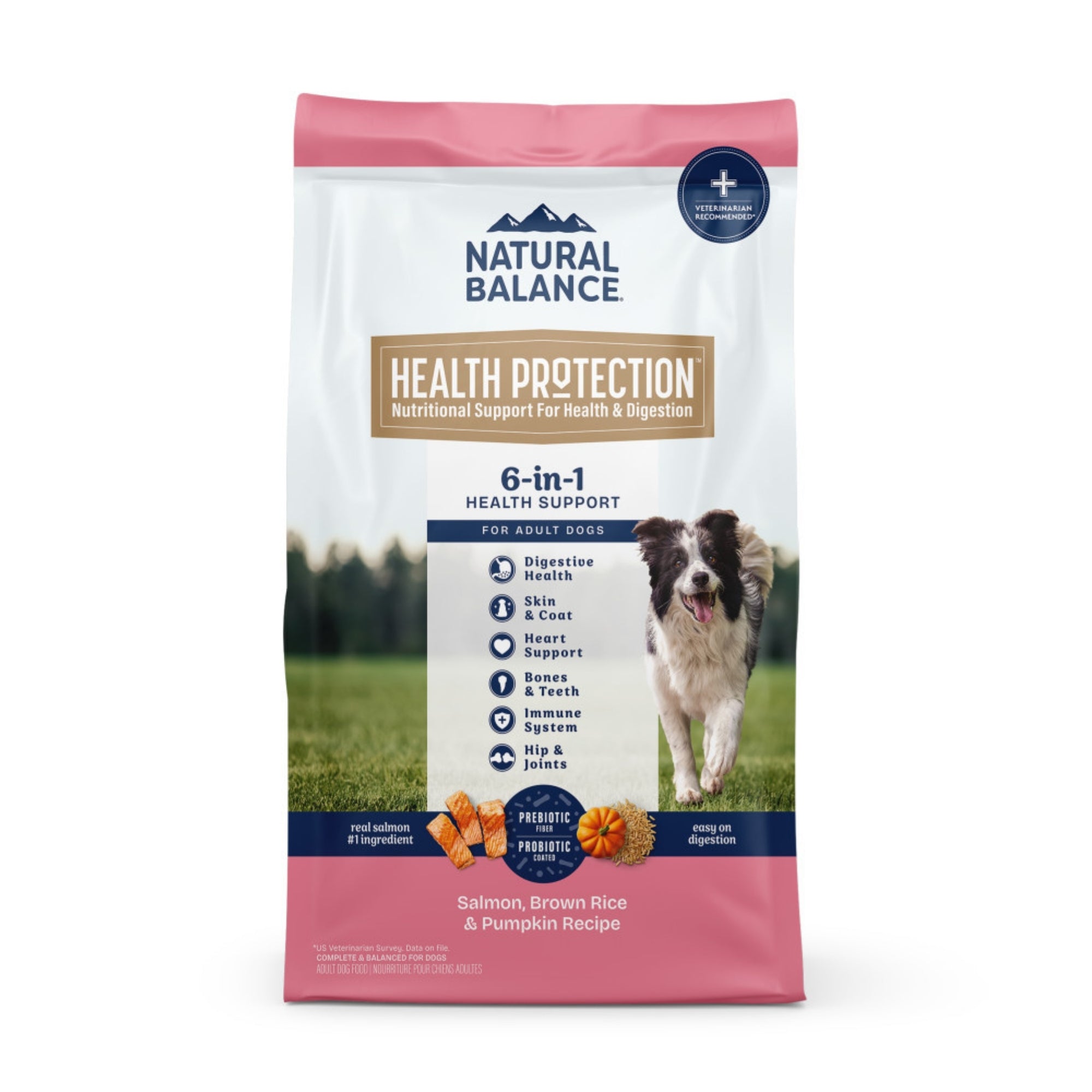 Natural Balance Pet Foods Health Protection Dry Dog Food Salmon, Brown Rice & Pumpkin 4lb