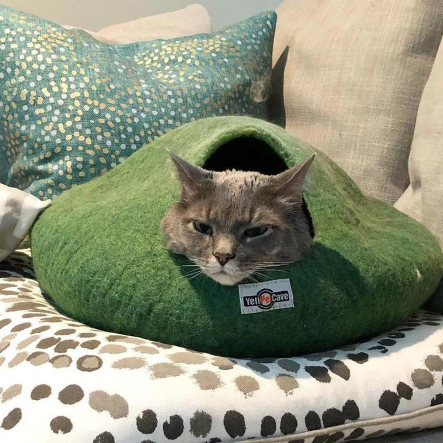 Yeti Pet Cave Green 22X20/9"