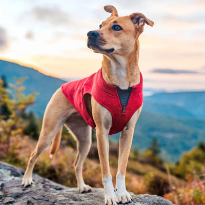Kurgo Dog Core Sweater Heather Red Medium