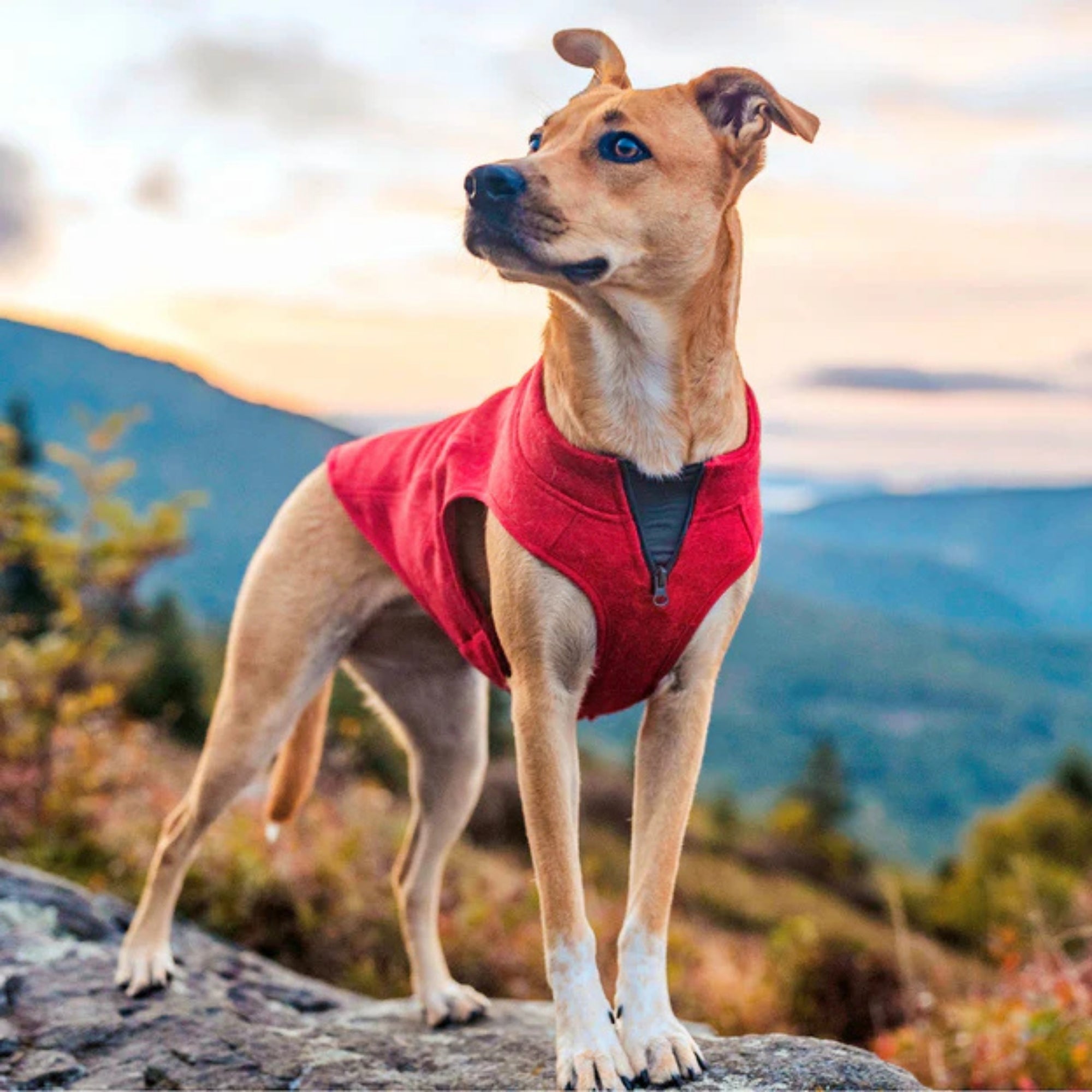 Kurgo Dog Core Sweater Heather Red Large