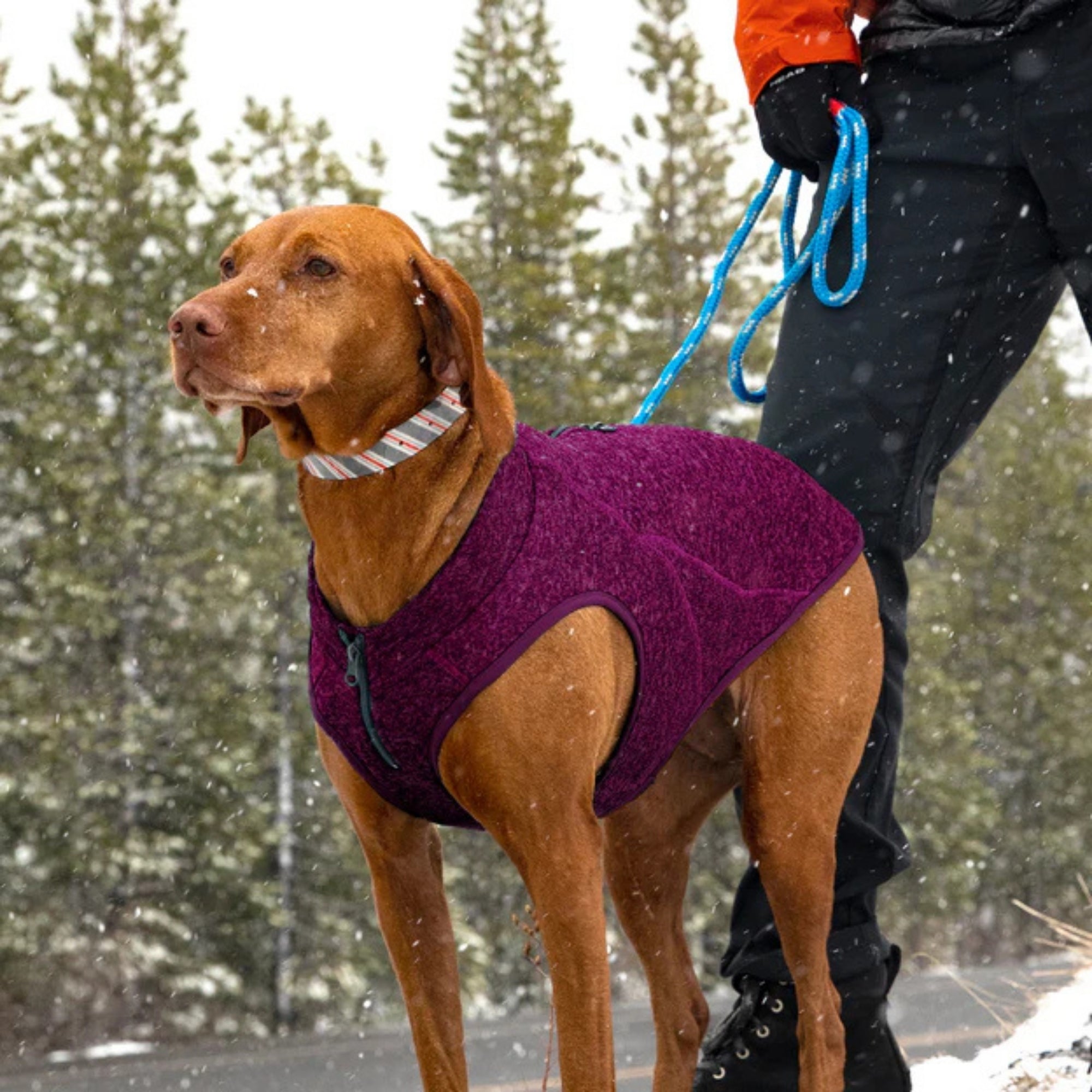 Kurgo Dog Core Sweater Heather Violet Small