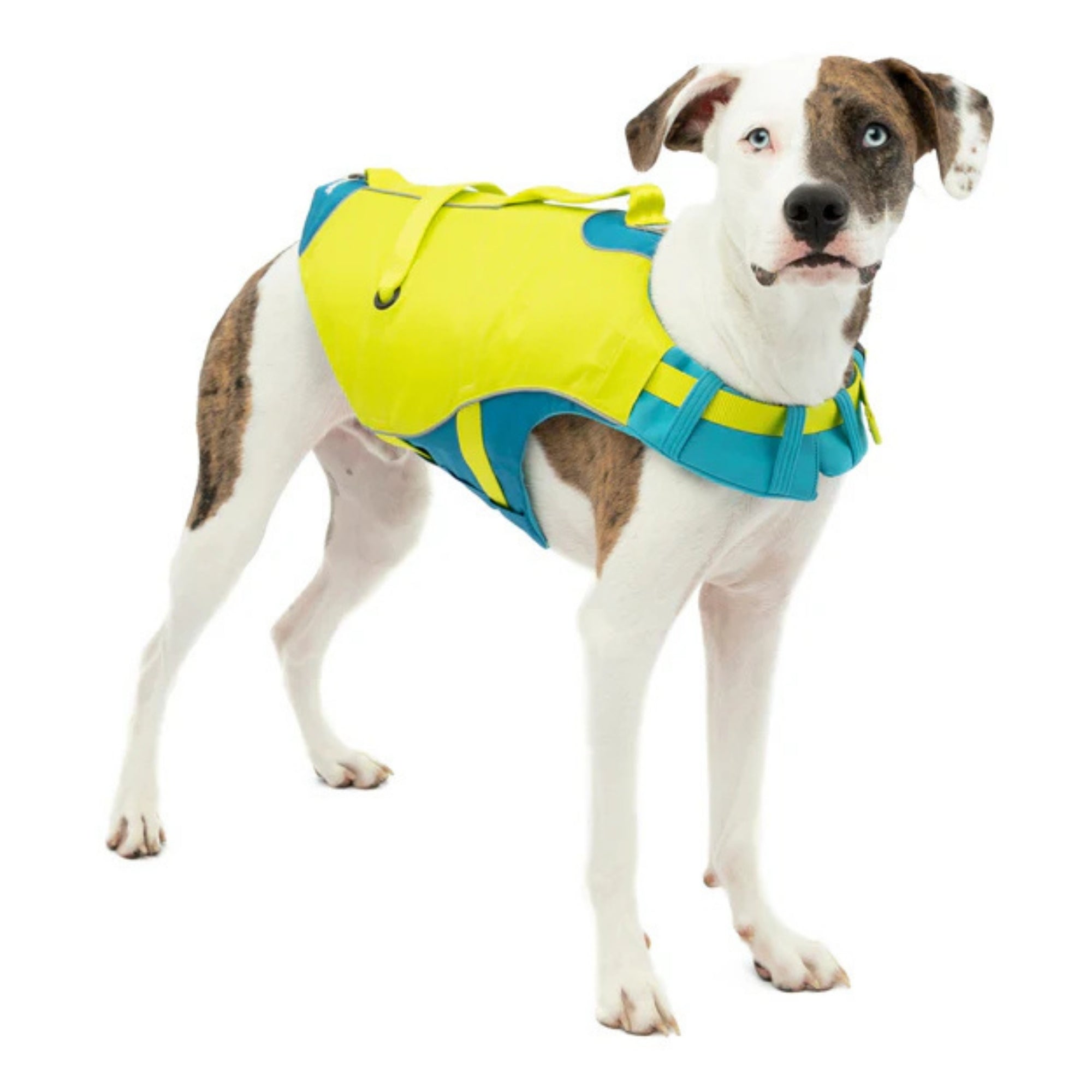 Kurgo Dog Life Jacket Yellow XSmall
