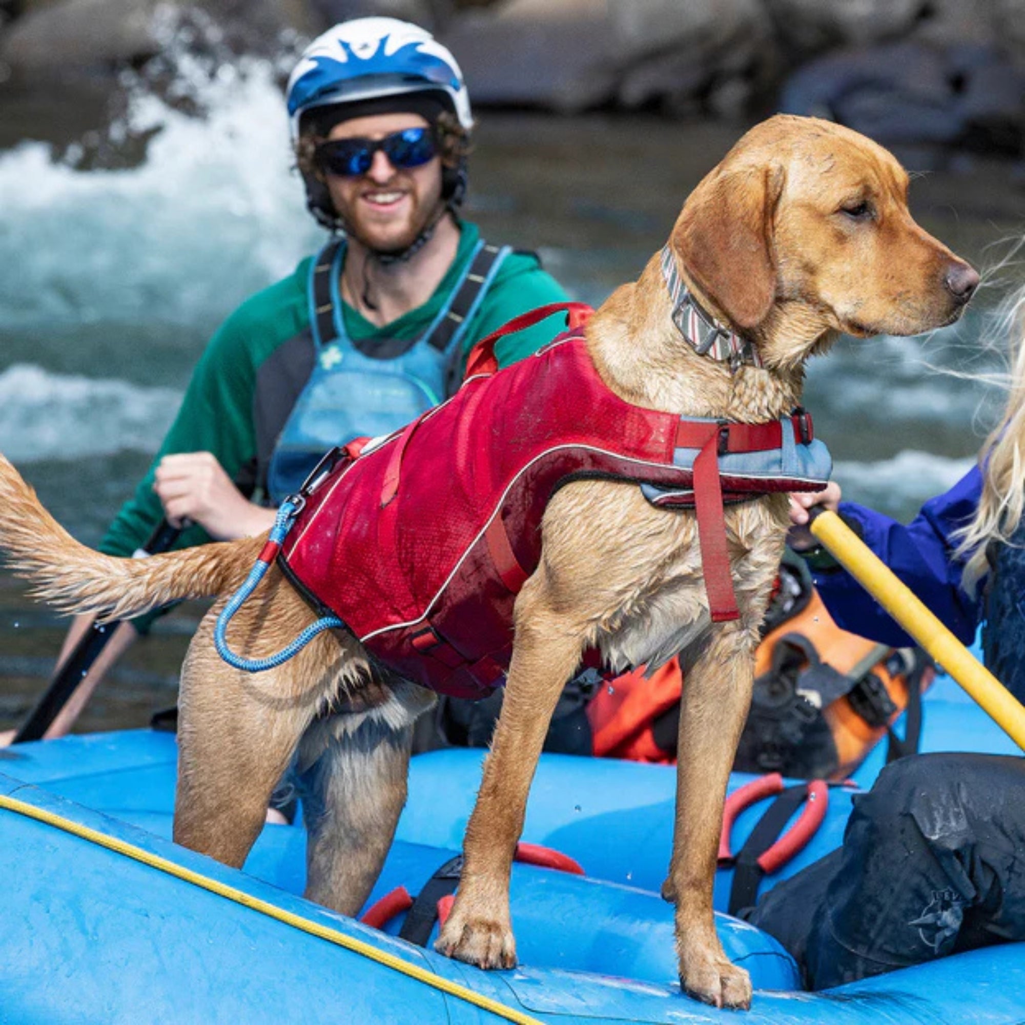 Kurgo Dog Life Jacket Yellow XSmall