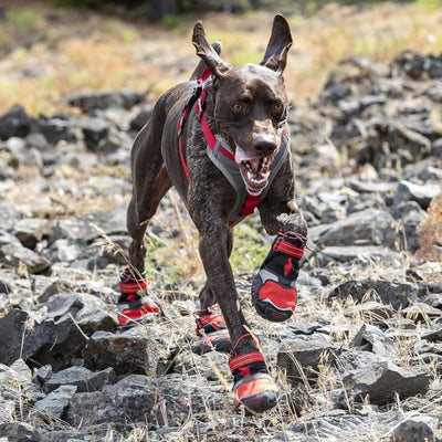 Kurgo Dog Blaze Boots Black & Red Medium 2 Pack