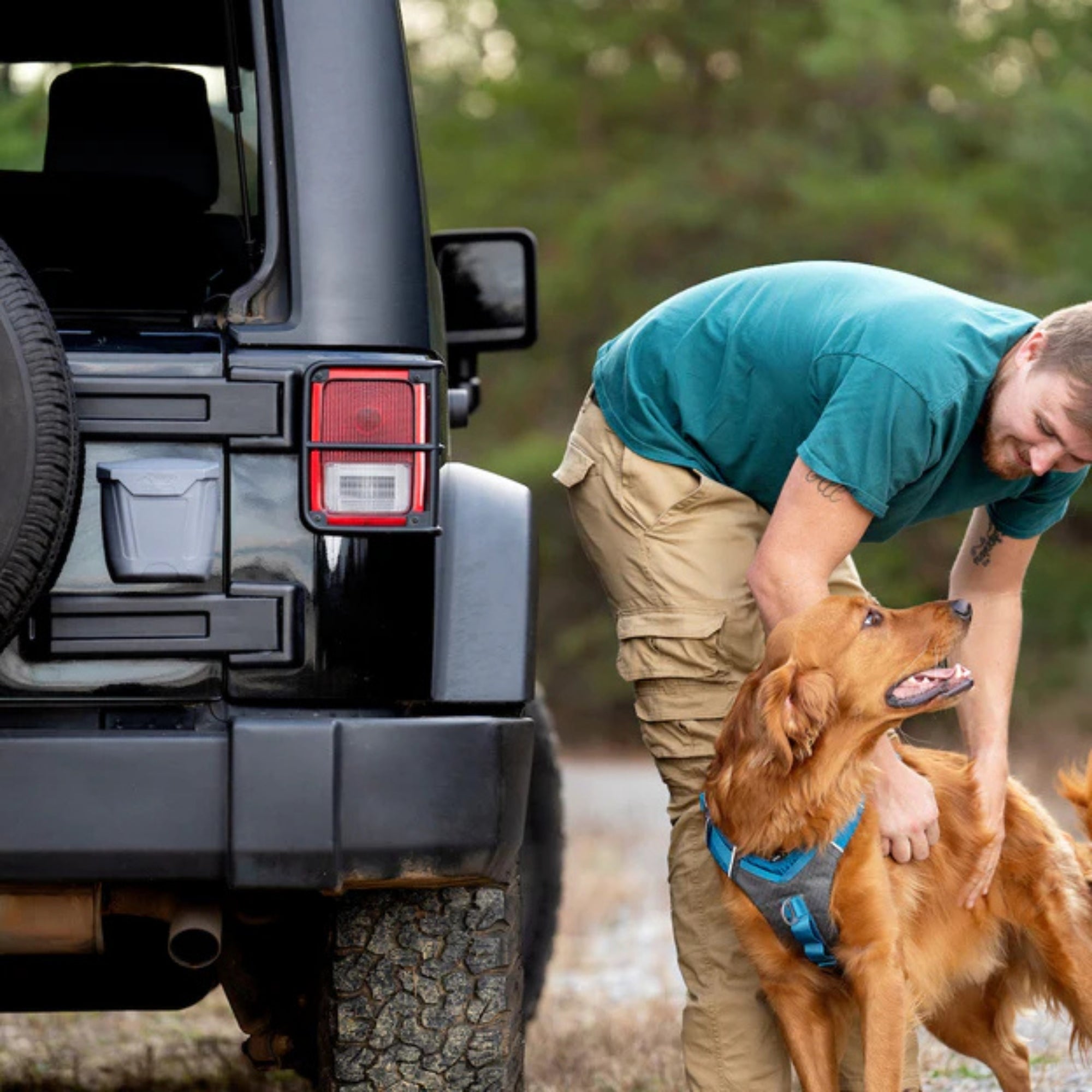 Kurgo Dog Tailgate Dumpster