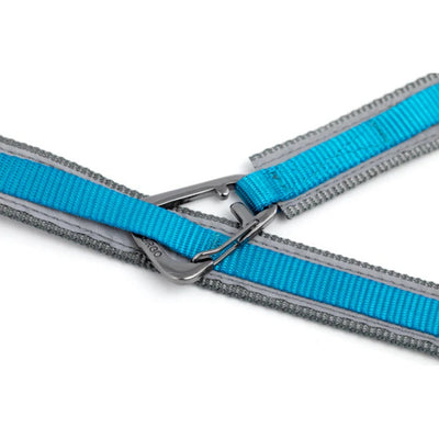 Kurgo Dog Quantum Leash Violet