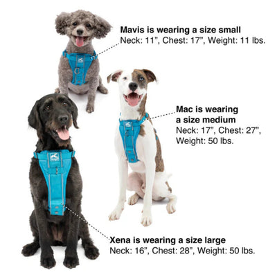 Kurgo Dog Tru Fit Smart Harness Black Small