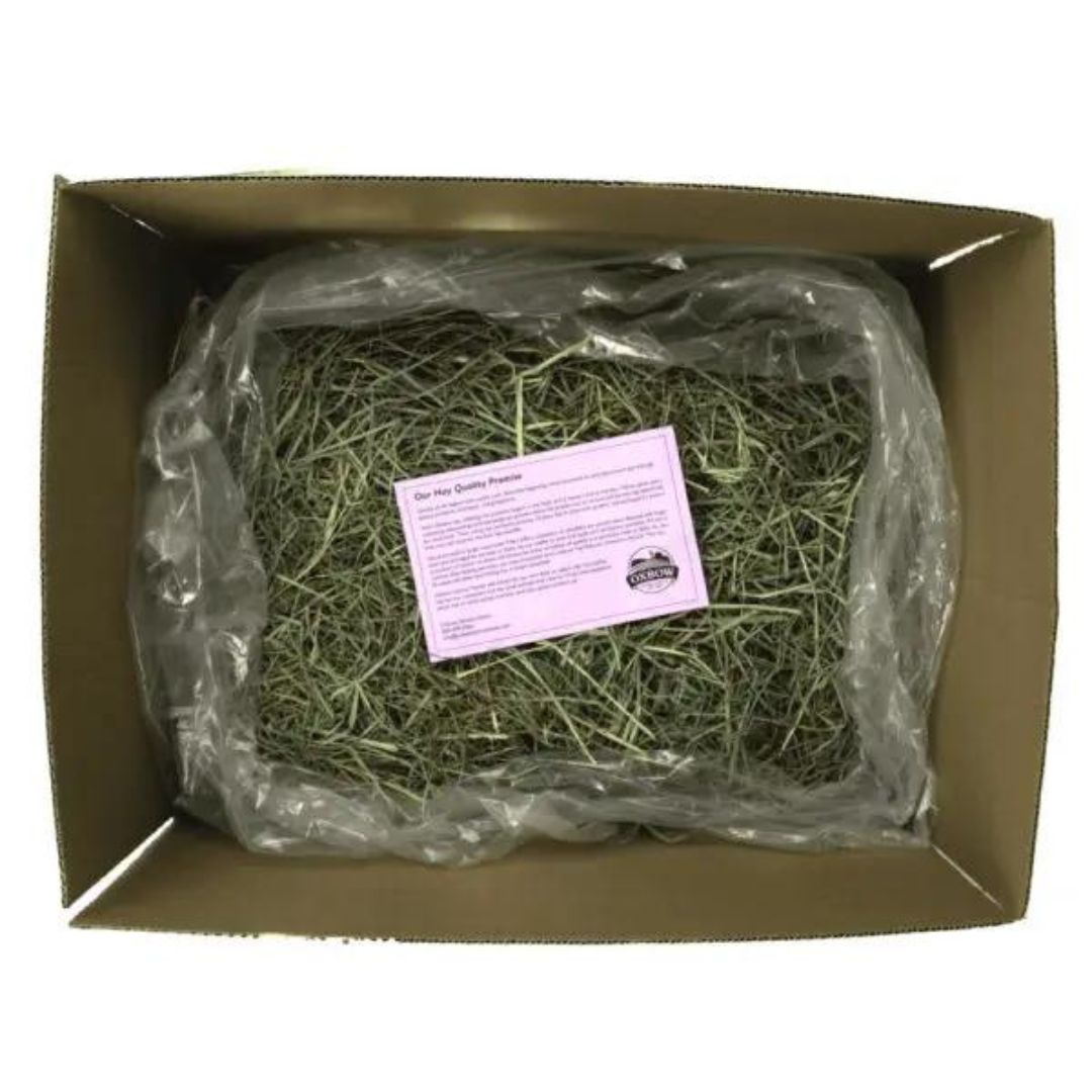 !!OXBOW S ORCHRD GRASS 9#