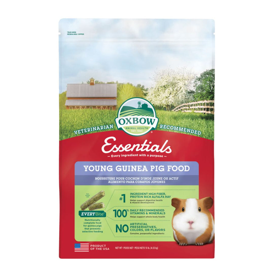 !!OXBOW S ESSEN YOUNG GPIG 10#