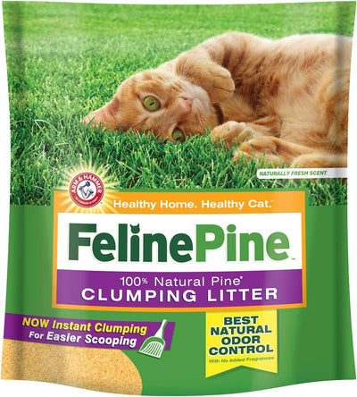 Arm & Hammer Clumping Cat Litter 1ea/14 lb