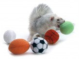 Marshall Pet Products Ferret Sport Balls Assorted 1ea/2 in, 2 pk