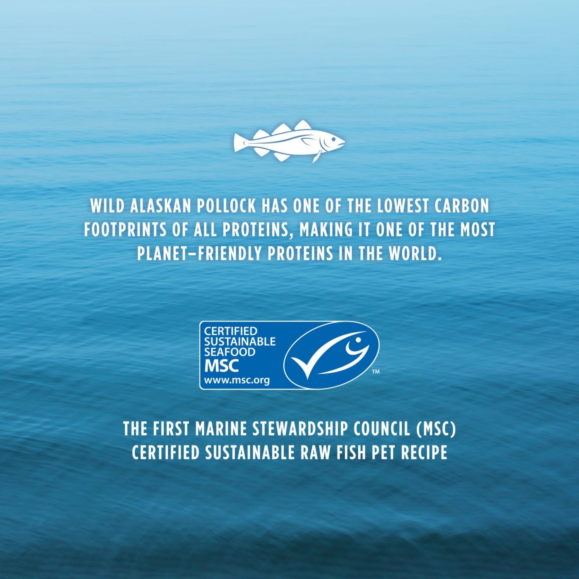 Natures Variety Longevity Dog Freez-dried Meals 9.5oz. Pollock