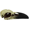 Komodo Raven Skull Hideout 1ea/MD, 6 in