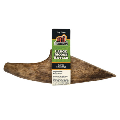 Redbarn Pet Products Moose Antler Dog Chew 1ea/LG