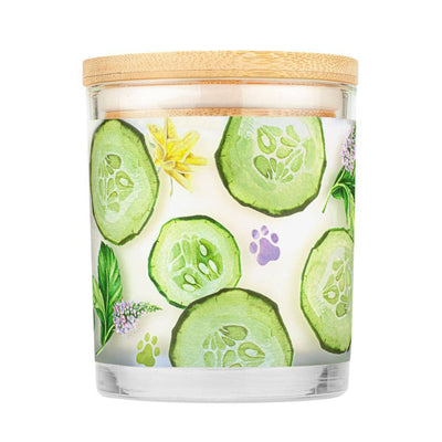 Pet House Candle Cucumber Mint Large 9oz. (Case of 3)