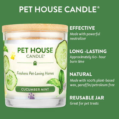 Pet House Candle Cucumber Mint Large 9oz. (Case of 3)