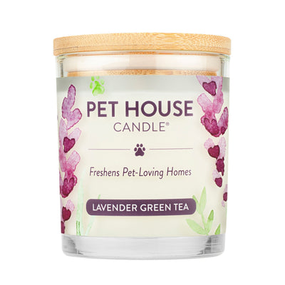 Pet House Candle Top Seller 2024 Display 12 Piece (Case of 12)