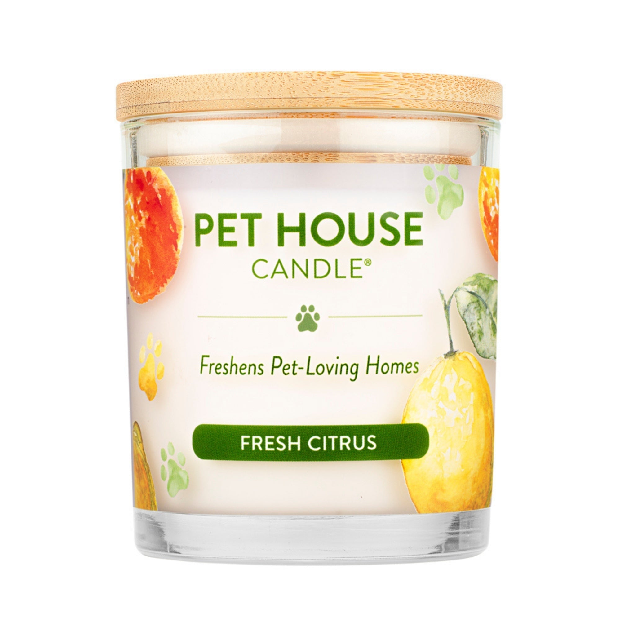 Pet House Candle Top Seller 2024 Display 12 Piece (Case of 12)