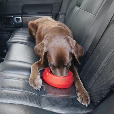 Kurgo Dog Splash Free Bowl Red