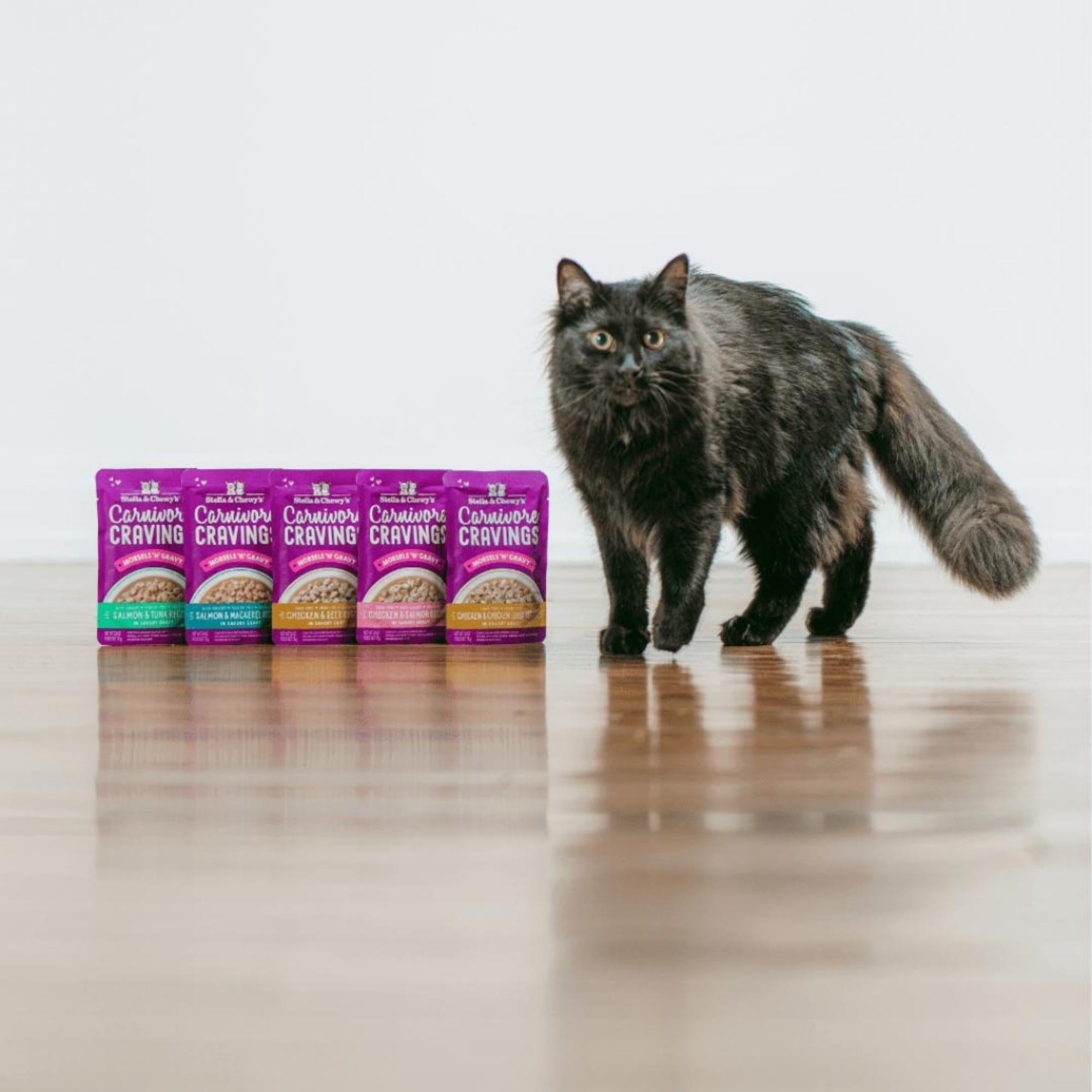 Stella & Chewy's Carnivore Cravings Morsels'N'Gravy Salmon & Mackerel Recipe 2.8oz. Default Title