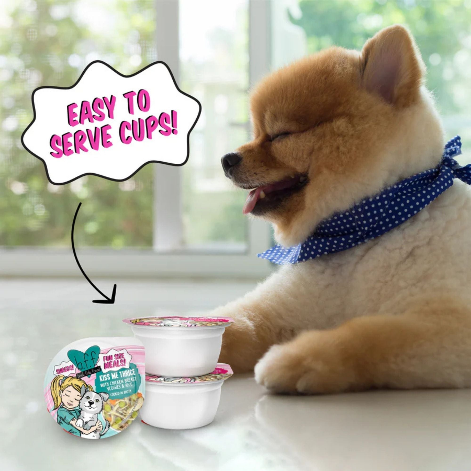 BFF Dog Fun Size Sampler Variety 2.75oz. - (Case of 8)