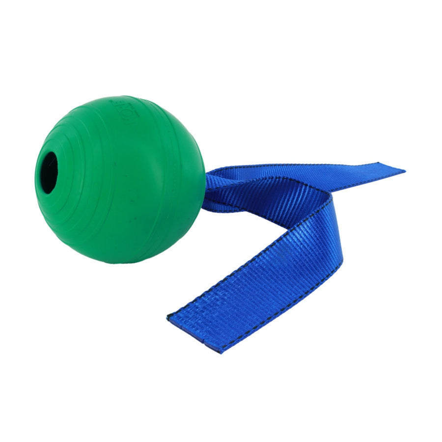 Coastal PetKORE KOREflex Ball  Tail Dog Toy 1ea/4.75 in