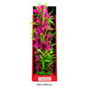 Aquatop Vibrant Passion Plant Pink 1ea/16 in