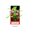 Aquatop Vibrant Garden Plant Violet 1ea/6 in