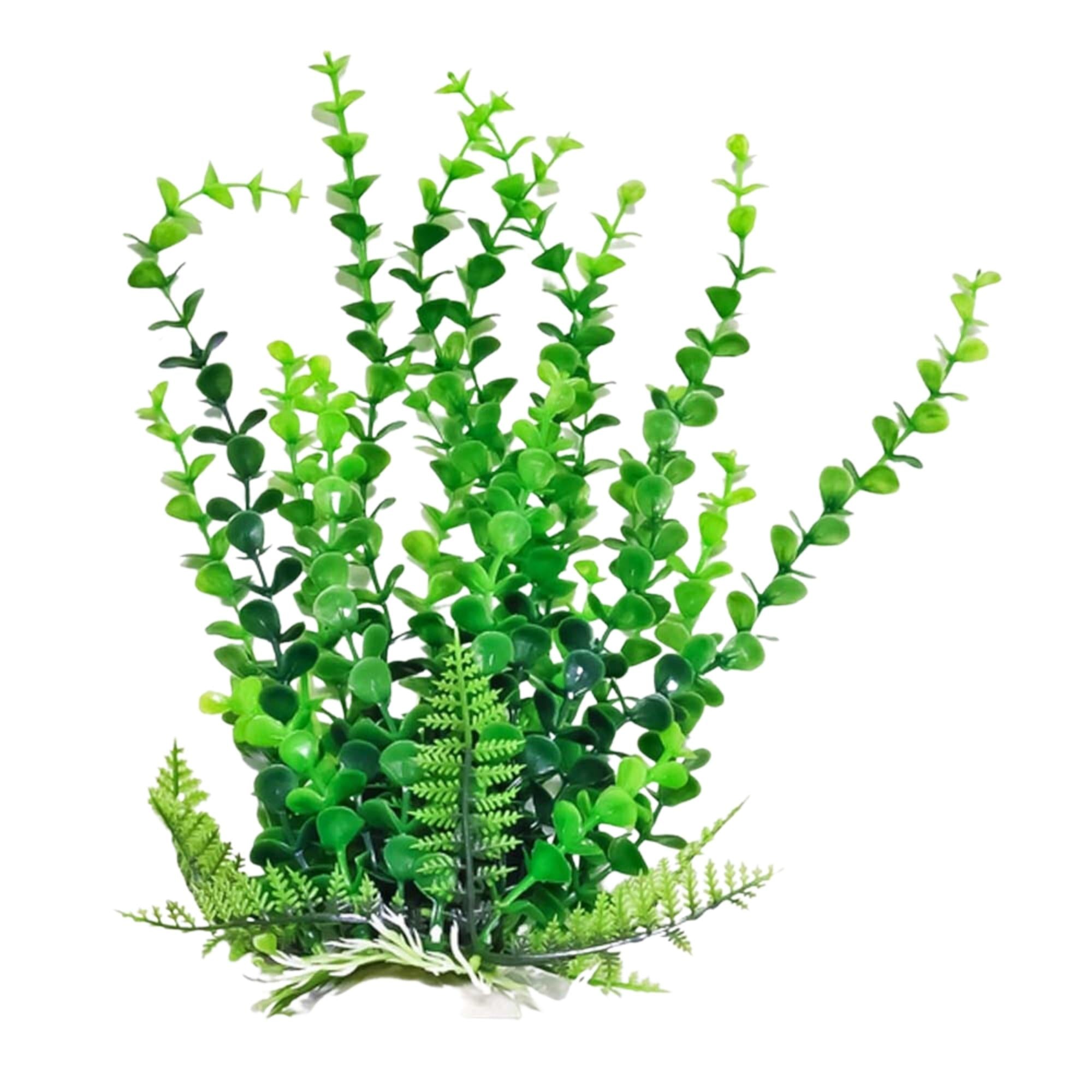 Aquatop Bacopa Aquarium Plant w/Weighted Base Green 9 in