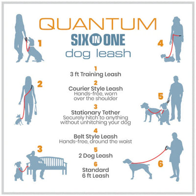 Kurgo Dog Quantum Reflective Leash Red