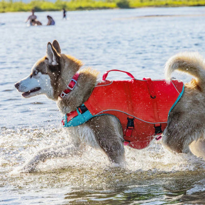 Kurgo Dog Life Jacket Red Large
