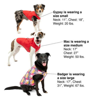 Kurgo Dog Jacket Loft Blue/Orange XSmall
