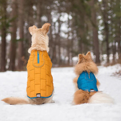 Kurgo Dog Jacket Loft Blue/Orange Medium