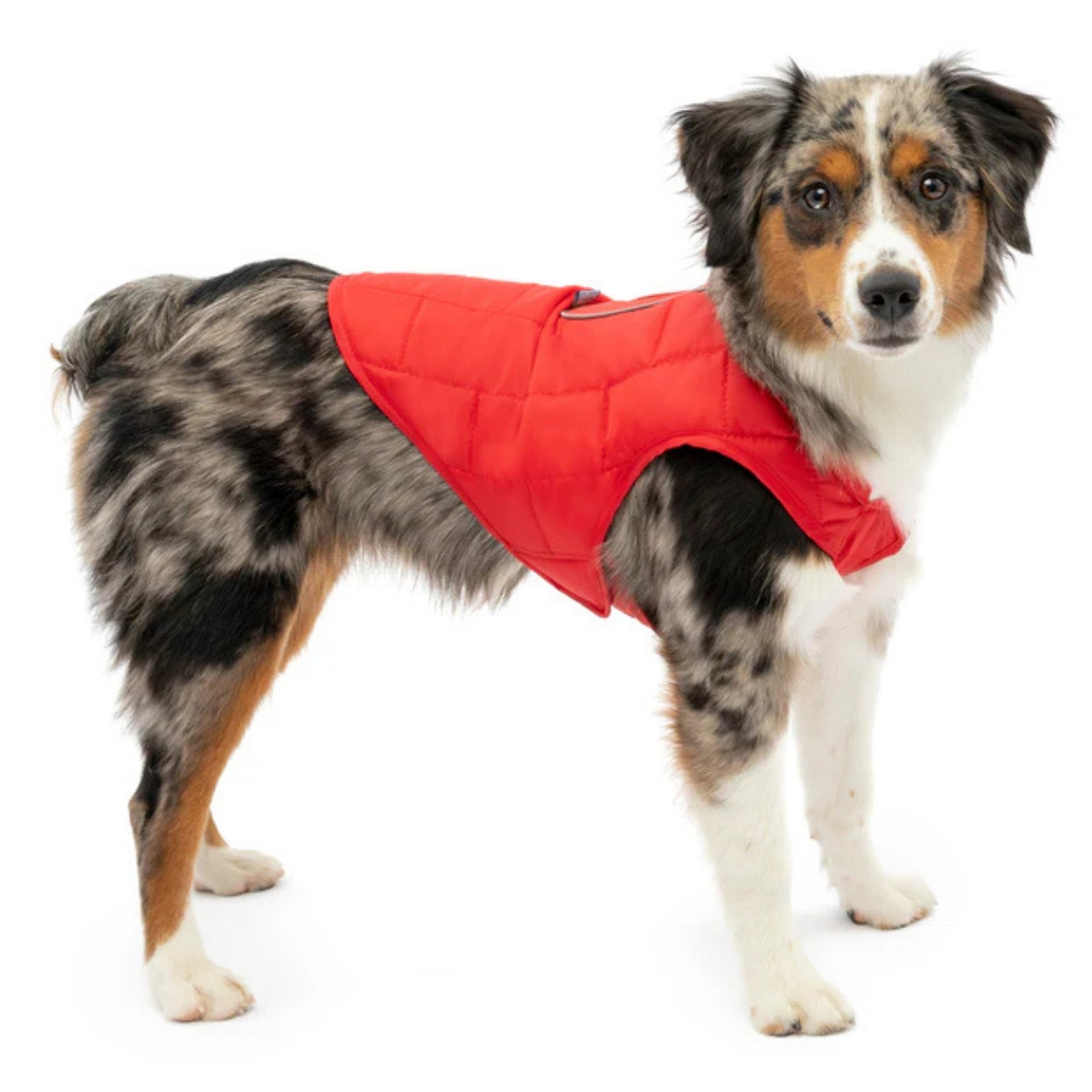 Kurgo Dog Loft Jacket Red XLarge