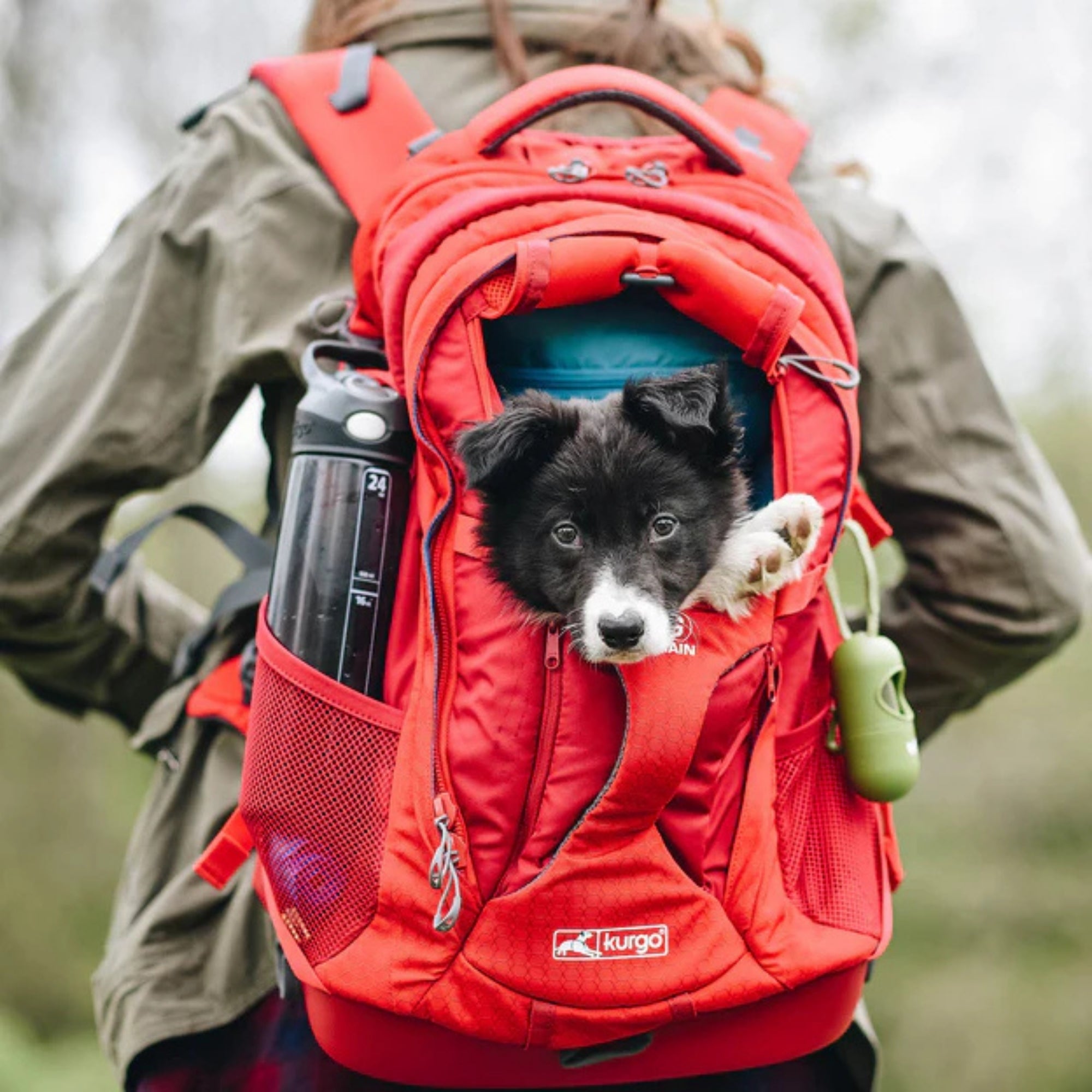 Kurgo Dog G-Train Backpack Red