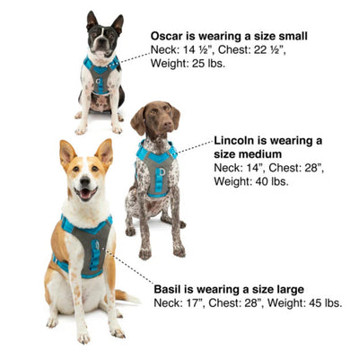 Kurgo Dog Journey Air Harness Red Small